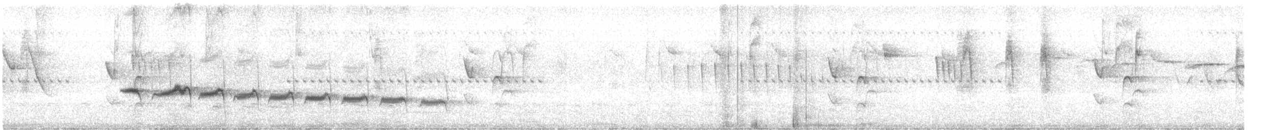 Strichelrücken-Ameisenfänger - ML476378451