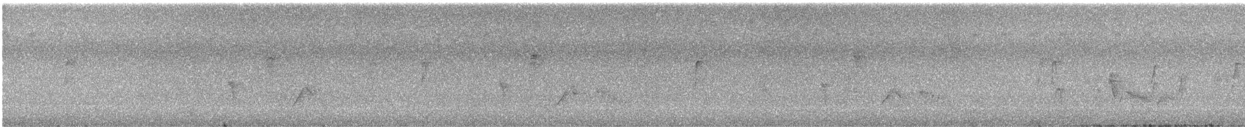Vireo Ojiblanco - ML476384141