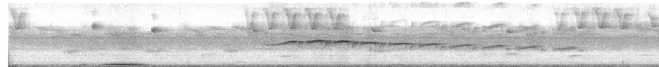 Rotmantel-Ameisenwächter - ML476419481