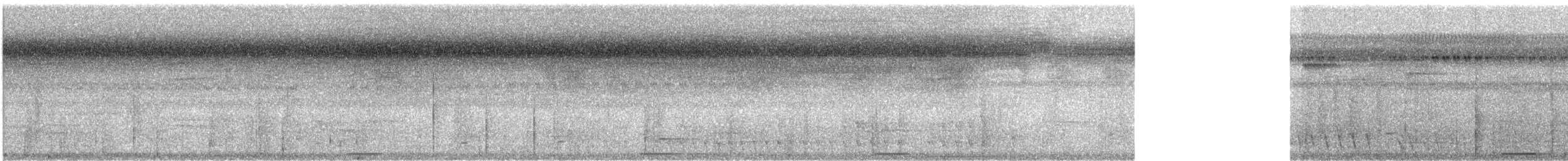 holoubek šedomodrý - ML476433041
