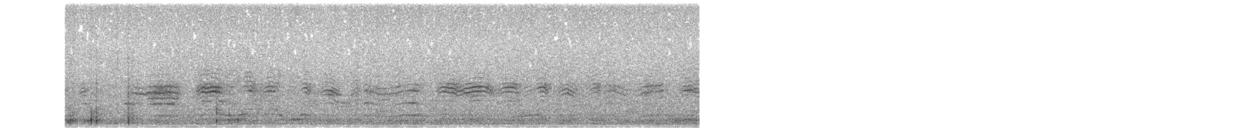 Буревісник cередземноморський (підвид borealis) - ML476442201