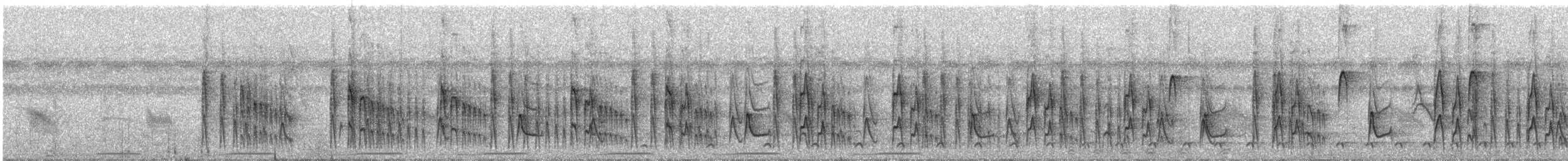 Nordstelzentyrann - ML476541401