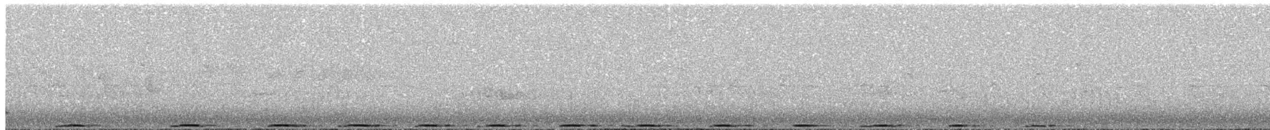 Хүнхэл тагтаа - ML476576751