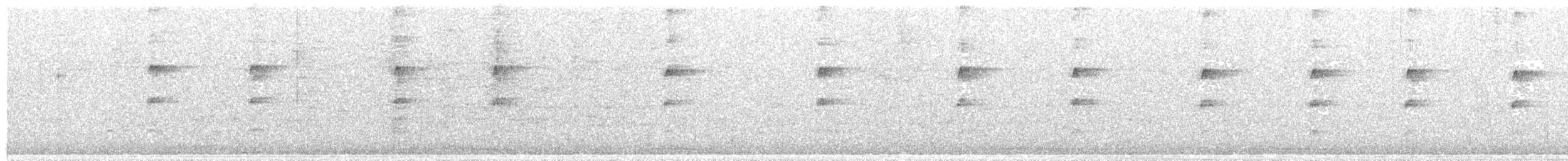 Белобрюхий тоди-тиранн - ML476589561