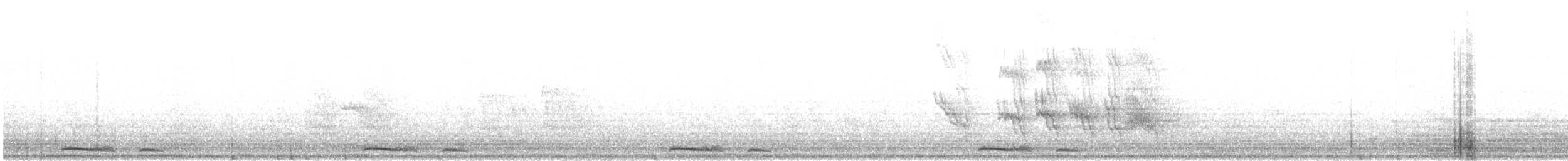 holoubek mexický - ML476602971