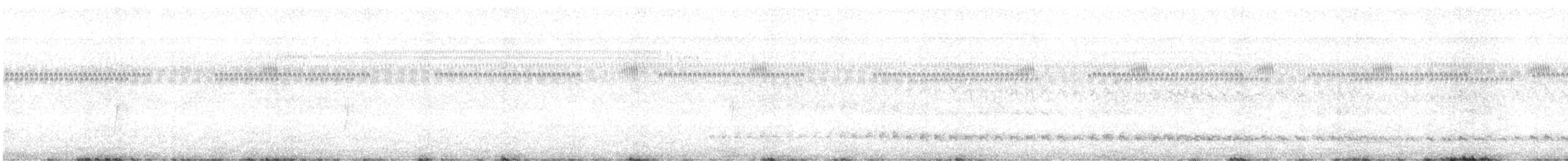 クビワコガモ - ML476638731