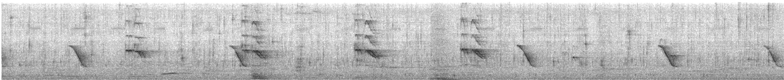 Schikrasperber - ML476681851