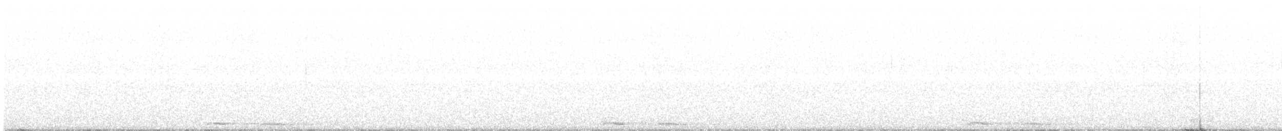 Сова-голконіг австралійська - ML476689211