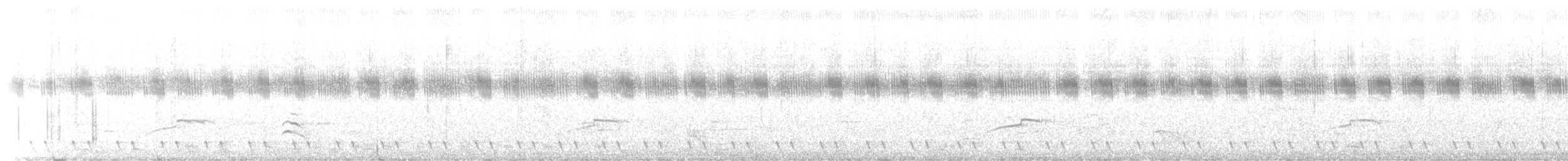 Red-necked Nightjar - ML476731011