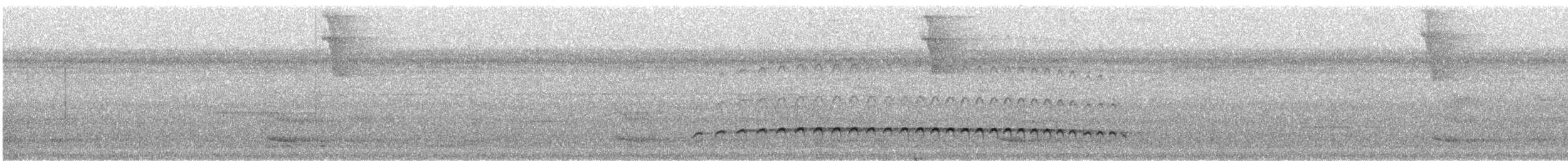 Tüpfelkronen-Ameisenvogel - ML476733521