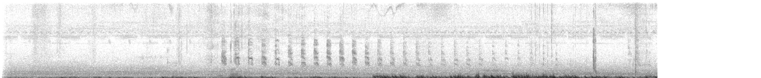 chřástal atlantický (ssp. crepitans/waynei) - ML476734581