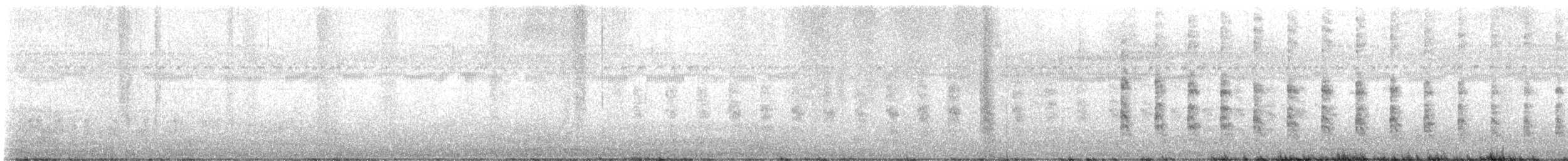 ヒガシオニクイナ（crepitans／waynei） - ML476734821