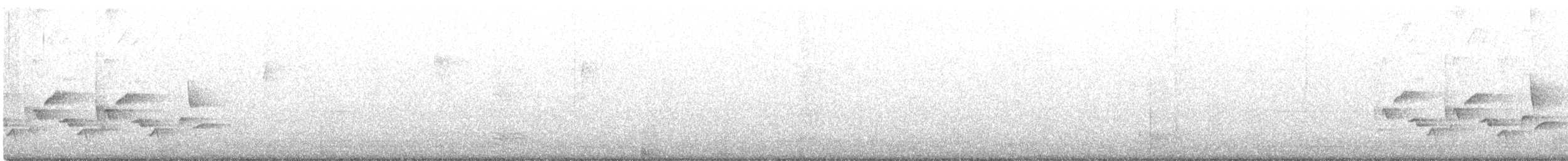Каролинский крапивник - ML476755091