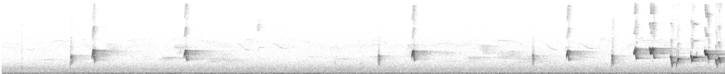 Сахалинский сверчок - ML476816741