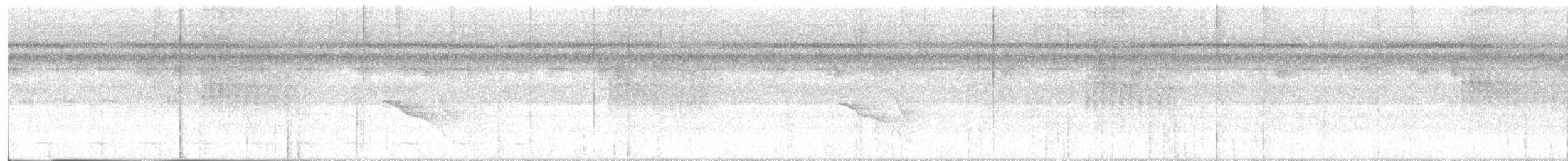 Dreibinden-Ameisenvogel - ML476841521