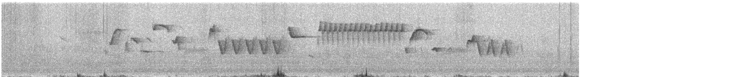 střízlík obecný (ssp. hebridensis) - ML476847651