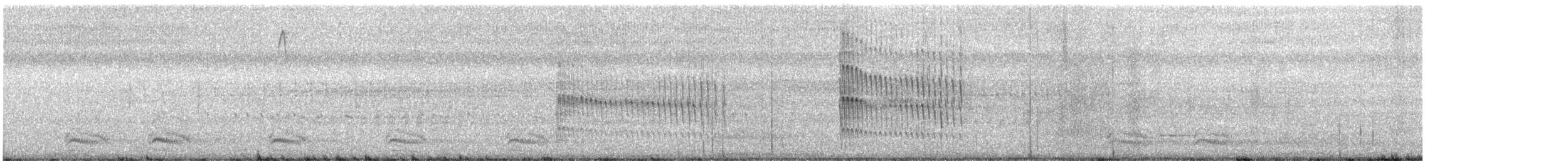 שלדג אמריקני - ML476867791