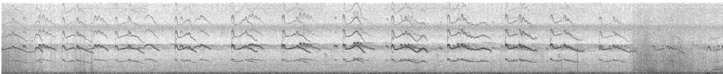 חופמי כפול-צווארון - ML476868761