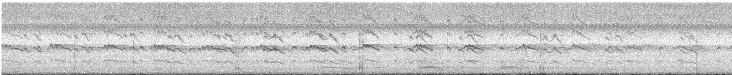 חופמי כפול-צווארון - ML476876441