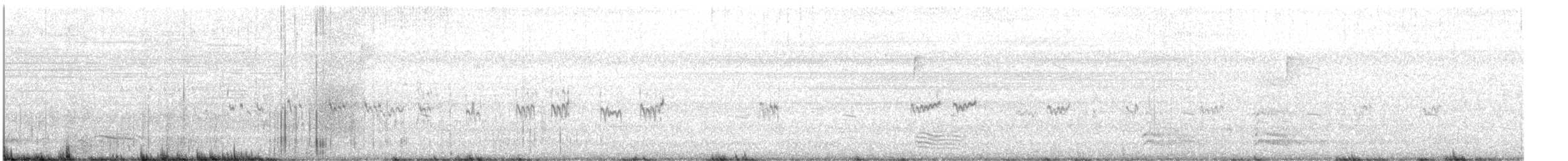 חופית זעירה - ML476877461