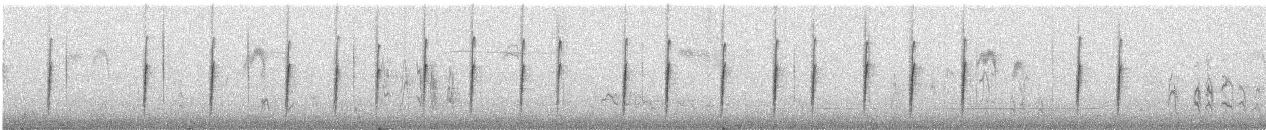 Troglodyte de Bewick - ML476966981