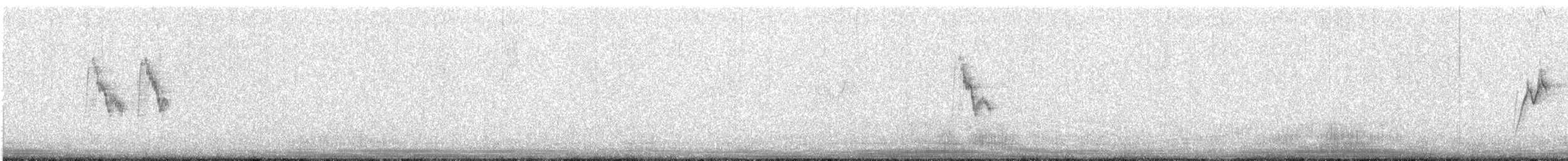 White Wagtail (Chinese) - ML476995891