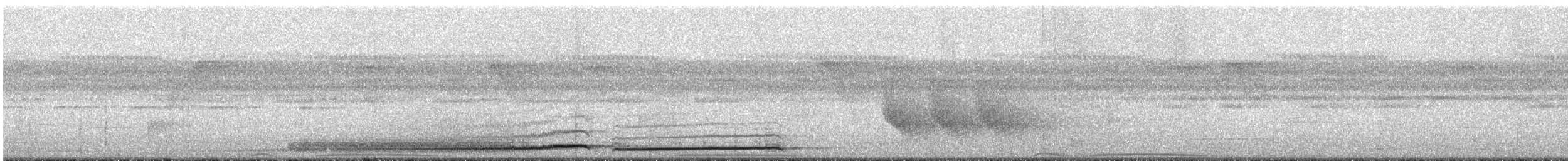 Papuan Pitta (Northern) - ML477001411