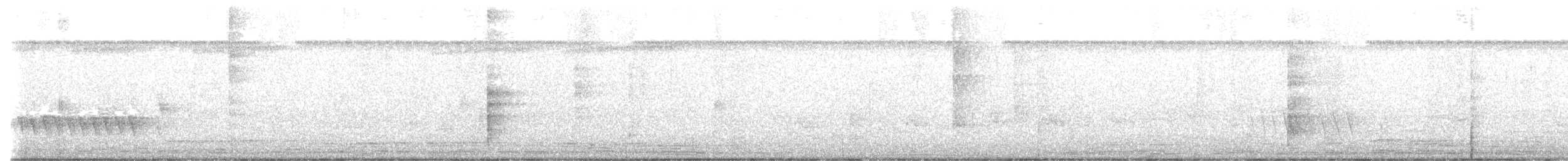 White-shouldered Triller - ML477039341
