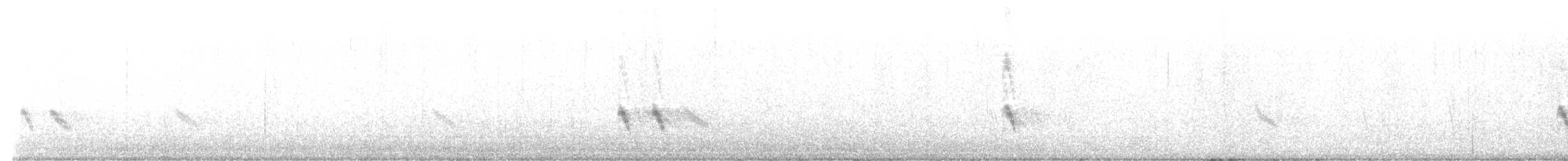 jiřička modrolesklá (ssp. hesperia) - ML477111211