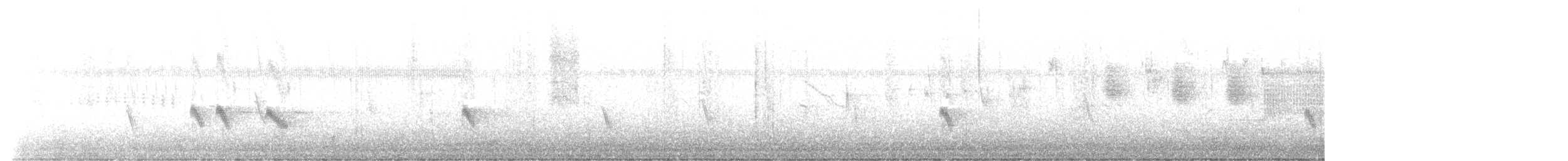 Hirondelle noire (hesperia) - ML477111551