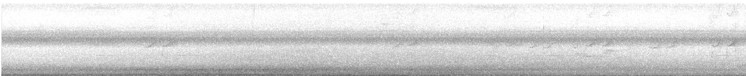 コシグロクサシギ（solitaria） - ML477114311