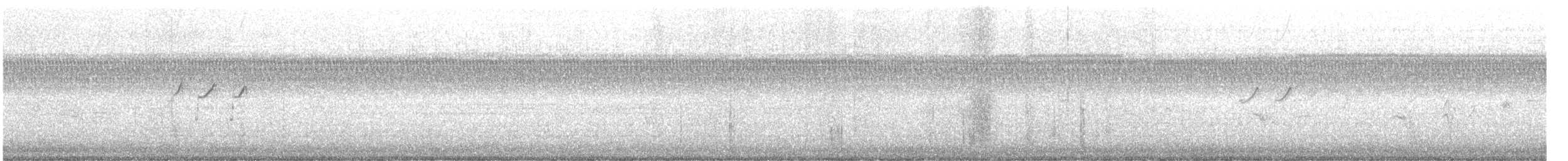 コシグロクサシギ（solitaria） - ML477114401
