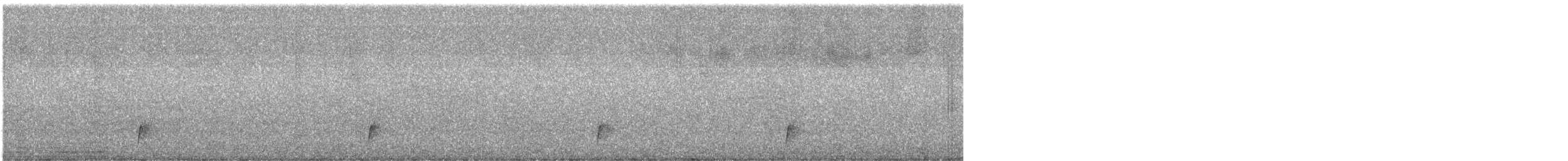 Дрізд-короткодзьоб Cвенсона - ML477117481