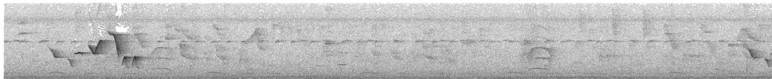 Troglodyte joyeux - ML477196151