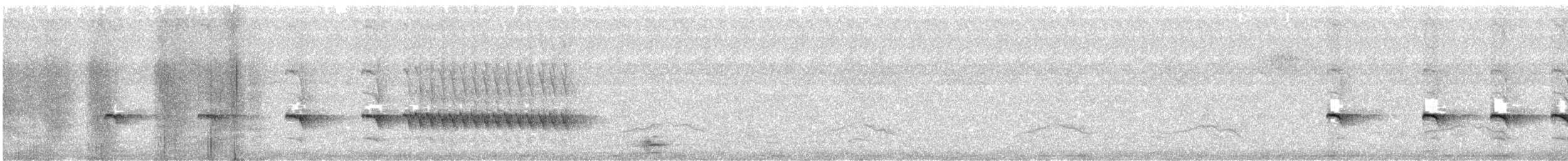 Chaparralgrasmücke - ML477260481