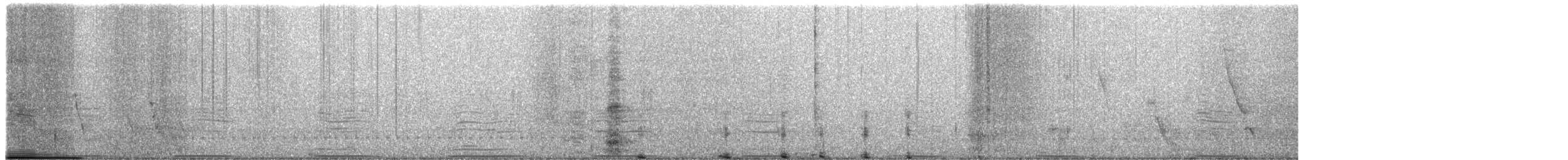 Southern Ground-Hornbill - ML477278671