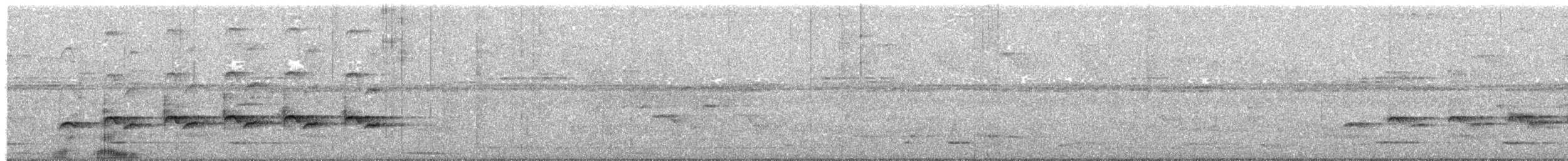 Willis's Antbird - ML477340971