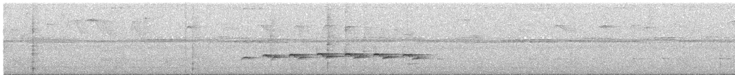 Willis's Antbird - ML477340981