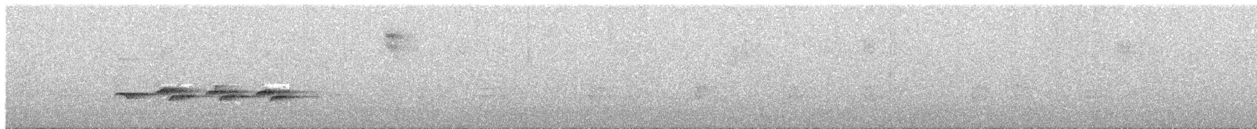 Willis's Antbird - ML477340991