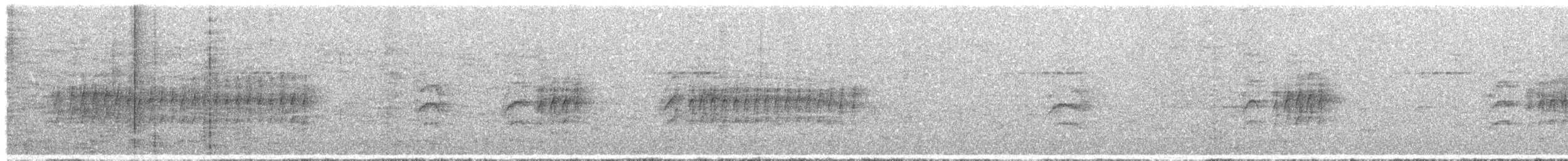 White-flanked Antwren - ML477341801