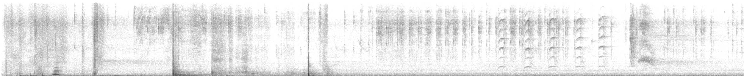 Серогрудый тиранн - ML477360721
