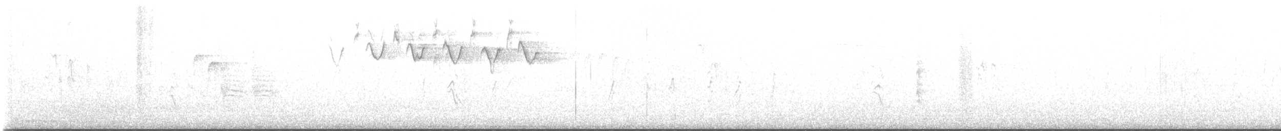 lesňáček černobílý - ML477382011