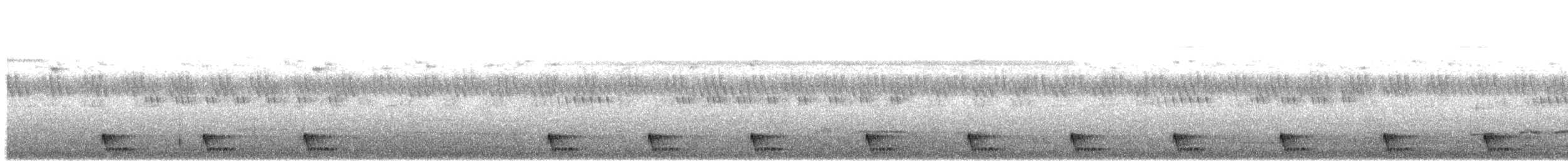 Large-tailed Nightjar - ML477383191