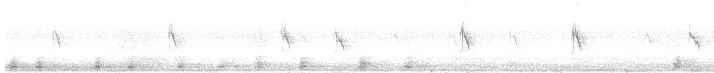 konipas luční (ssp. thunbergi) - ML477384581