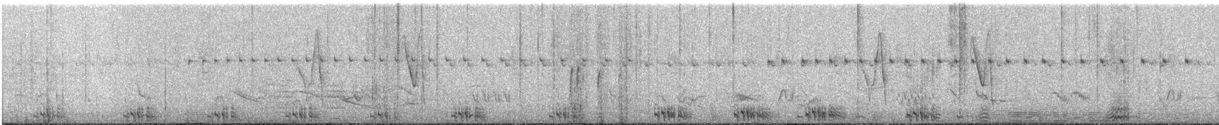 holoubek modrooký - ML477392751
