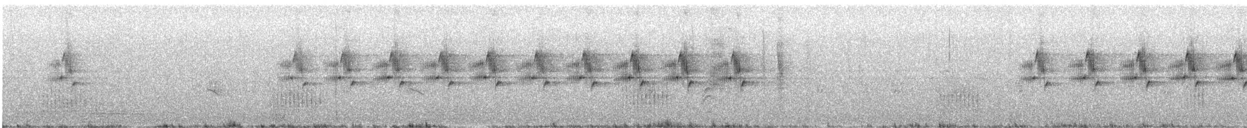 Prinia gracile - ML477395651