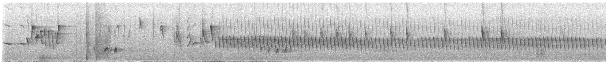 Souimanga de Palestine - ML477395971