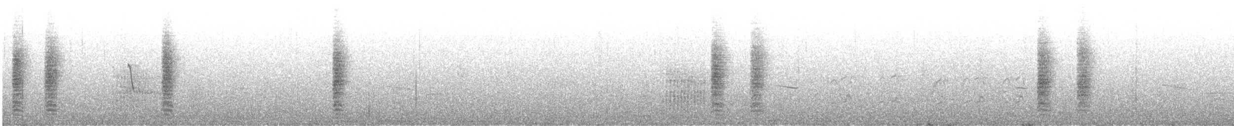 Saz Kamışçını (avicenniae) - ML477398721