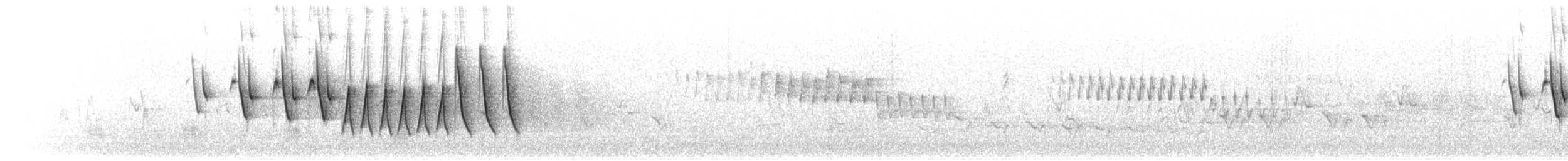 Northern Waterthrush - ML477421001