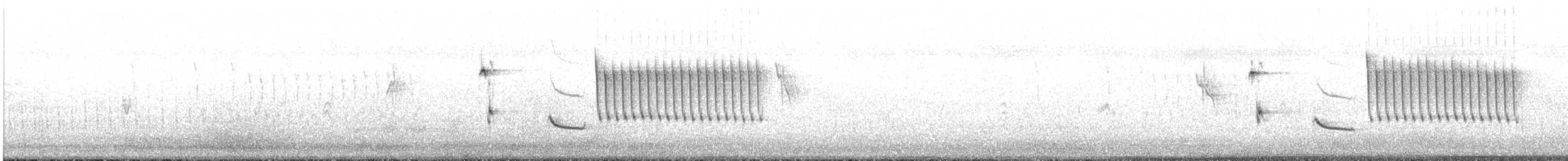 Rostflügelammer - ML477438821